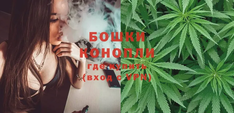 где можно купить   Чехов  Шишки марихуана OG Kush 